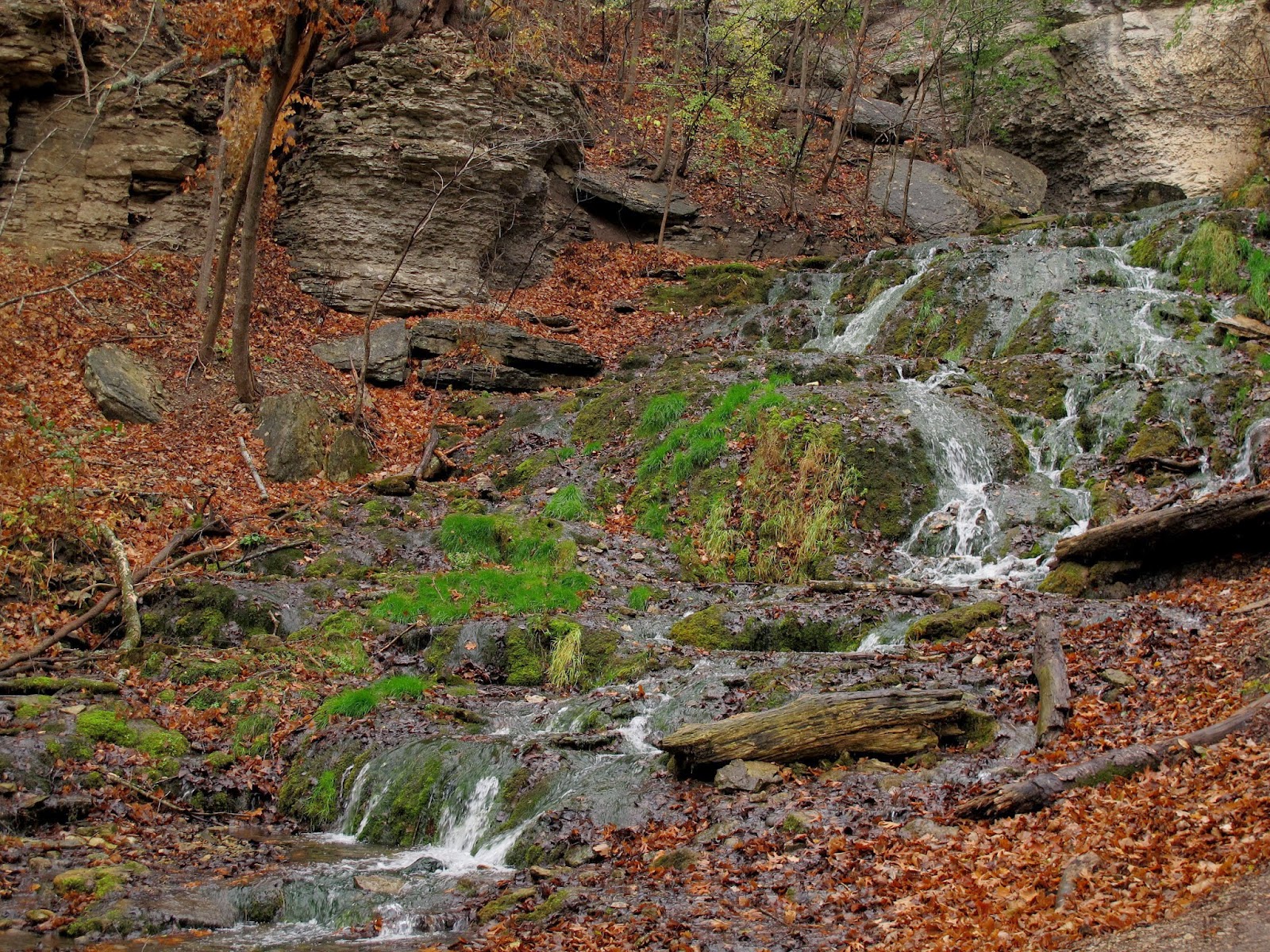 DUNNINGS SPRING DECORAH IOWA ADAM HAYDOCK