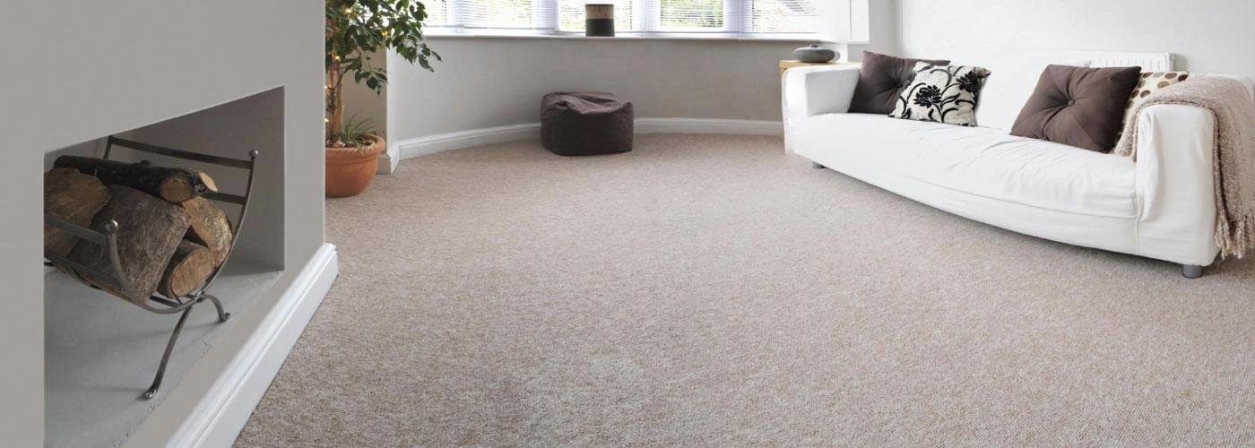 Steamy Carpet Cleaner of Coventry - Carpet Cleaner Professionals