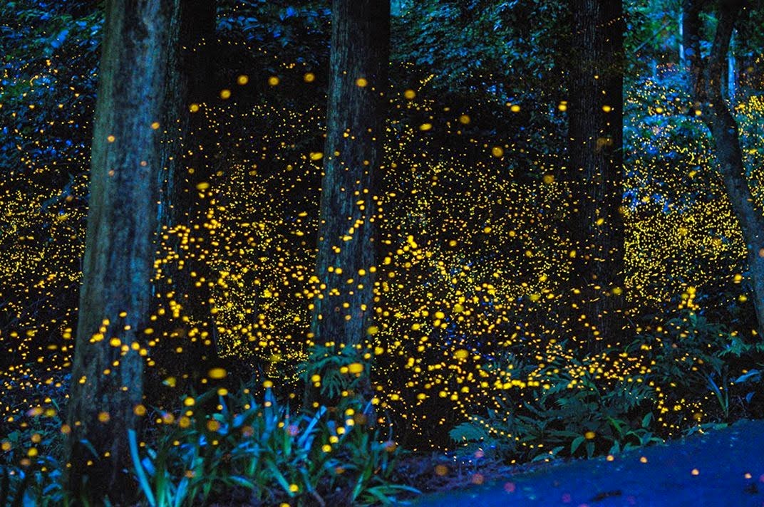 Glittery Fireflies