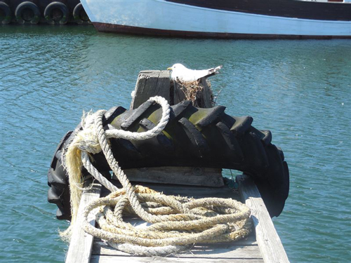 Bogense, Dänemark Bogense, Dänemark