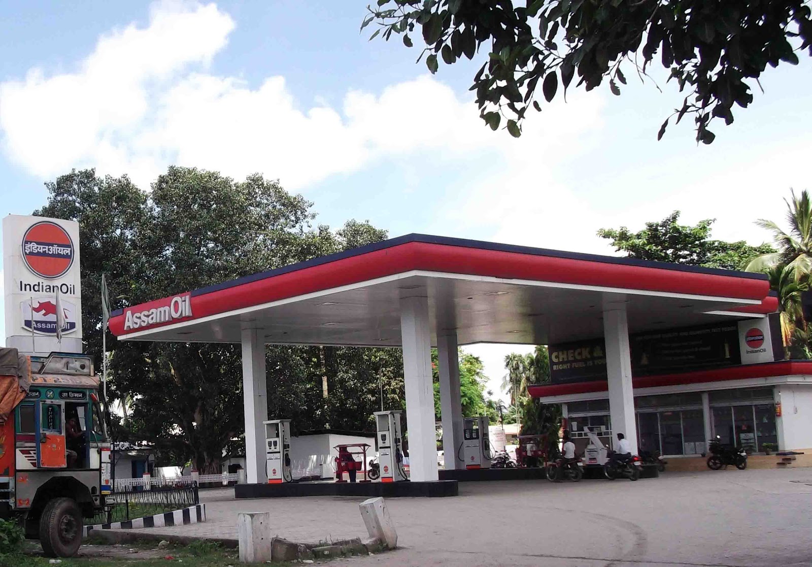 Assam Oil