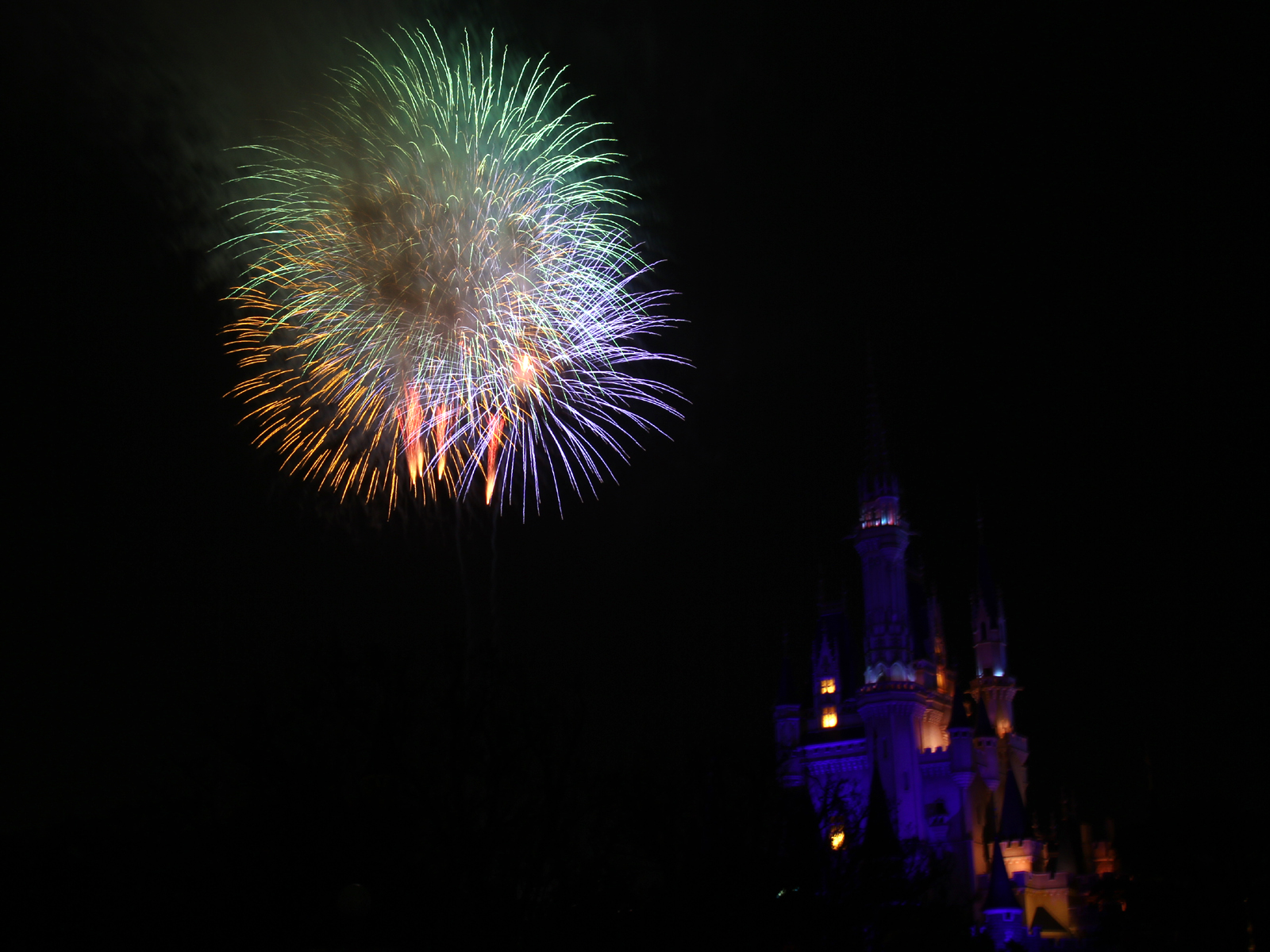 ディズニーマジックインザスカイ 花火 を綺麗に撮影する 時間や場所
