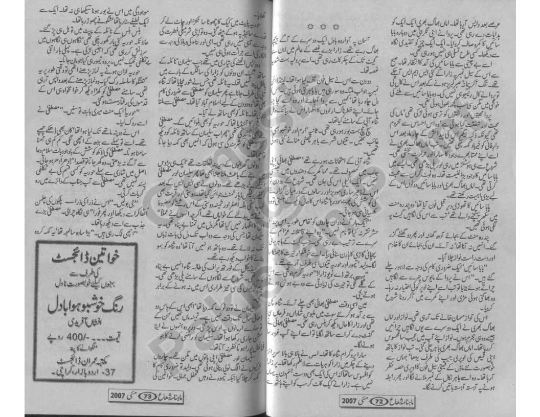 Nabeela essay 06 picture