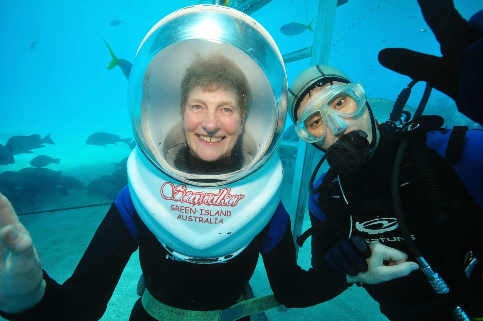 Birding For Pleasure 500th Post Helmet Diving off Green Island on