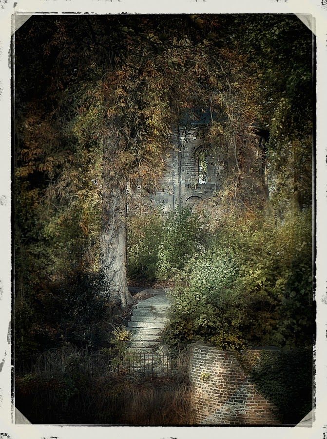 Fotografie