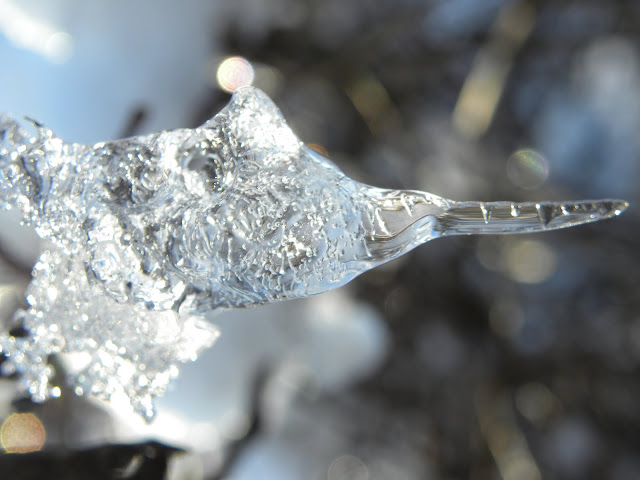 One inch long icicle