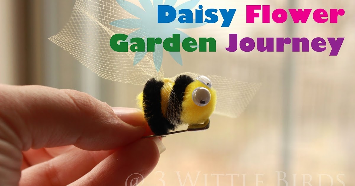 3 Wittle Birds: Daisy Flower Garden Journey: Session 2