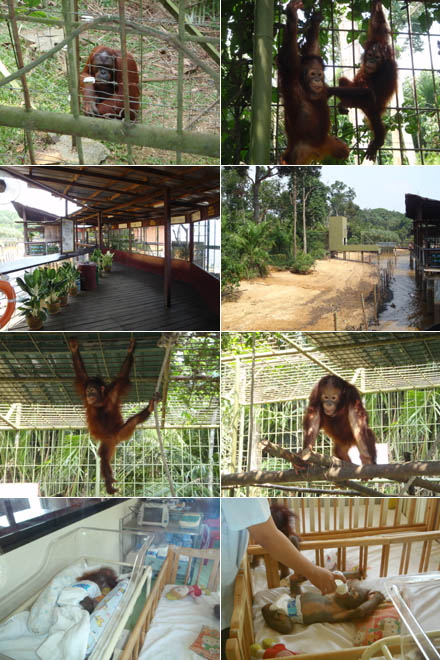 Utan Resort