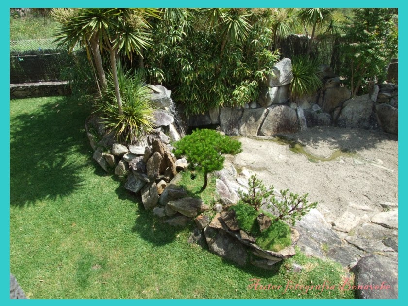 Divagando desde Vigo a mi entender.: Los pequeños árboles en laja y