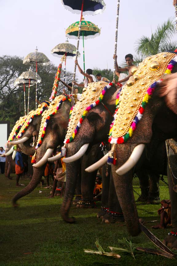 What's the Story? Shiva Temple Festival Ernakulam