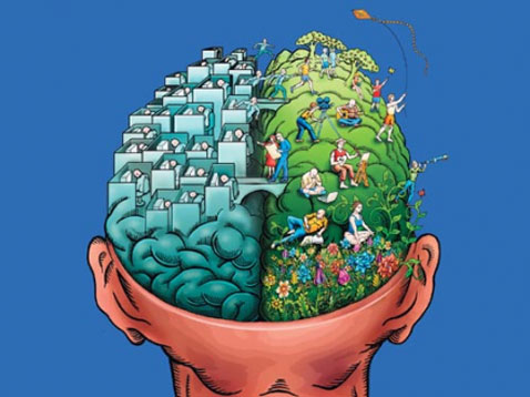 Cerebro Humano