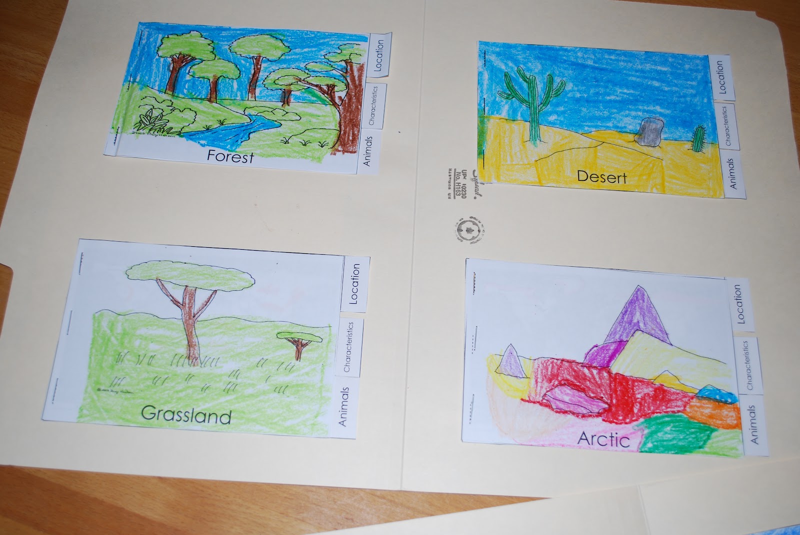 Chalk Talk Habitat Lapbooks