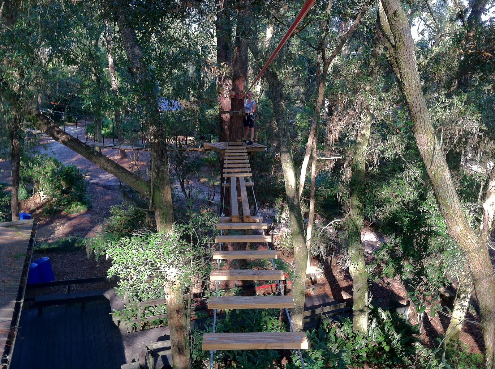 The TreetoTree Adventure at Tallahassee Museum The World of Deej