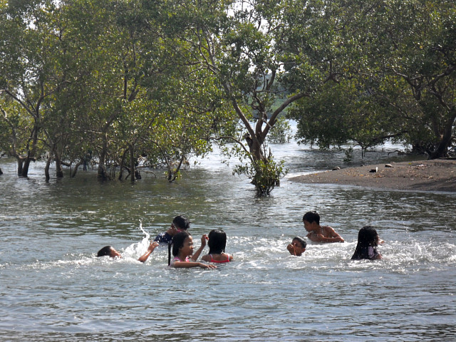 sayao estuary