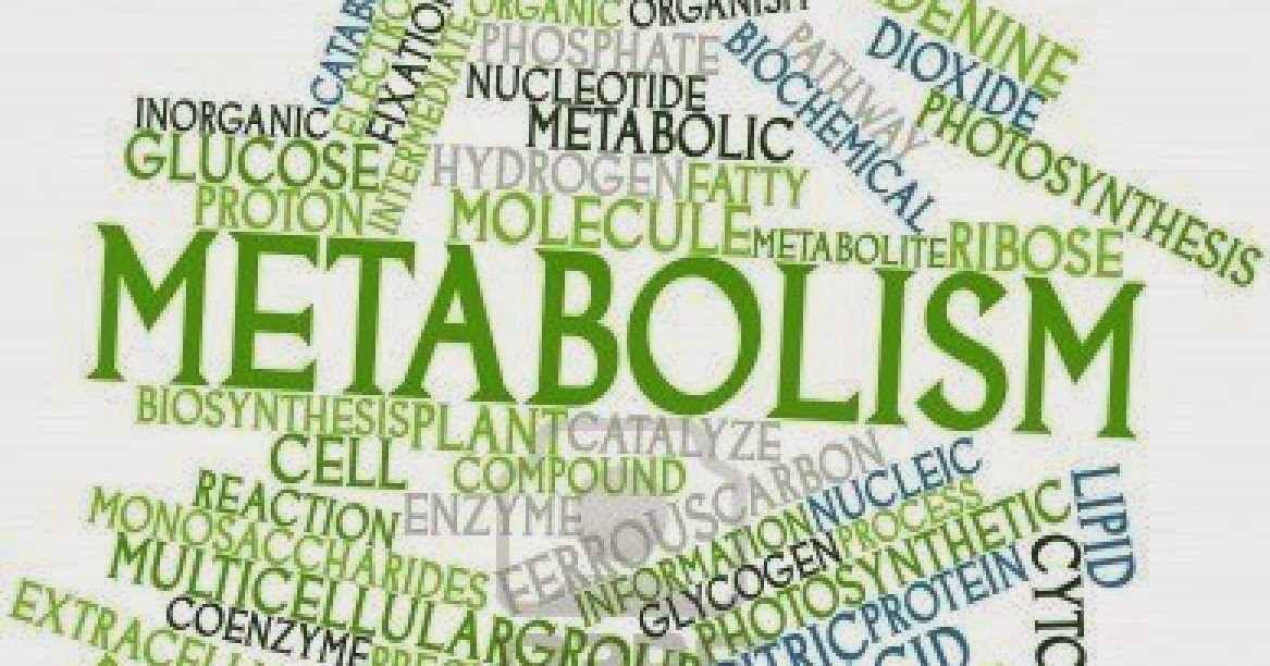 Speeding Up Your Metabolism The Heart Smart Gourmet