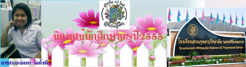 ฝึกประสบการณ์วิชาชีพ