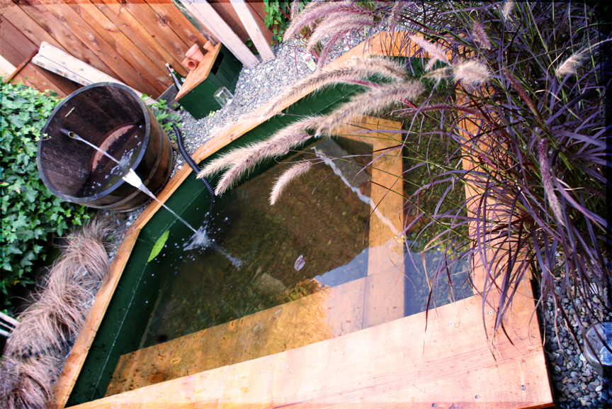 Thomas Unblocked Wooden Pond