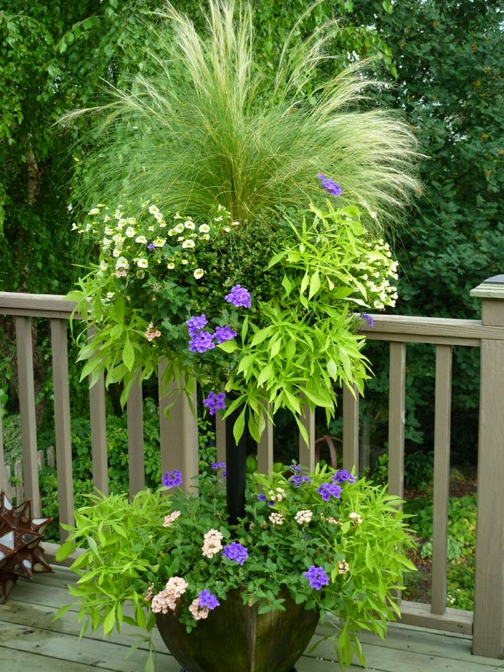 DIY Side Planting Container Tutorial learn how to side plant