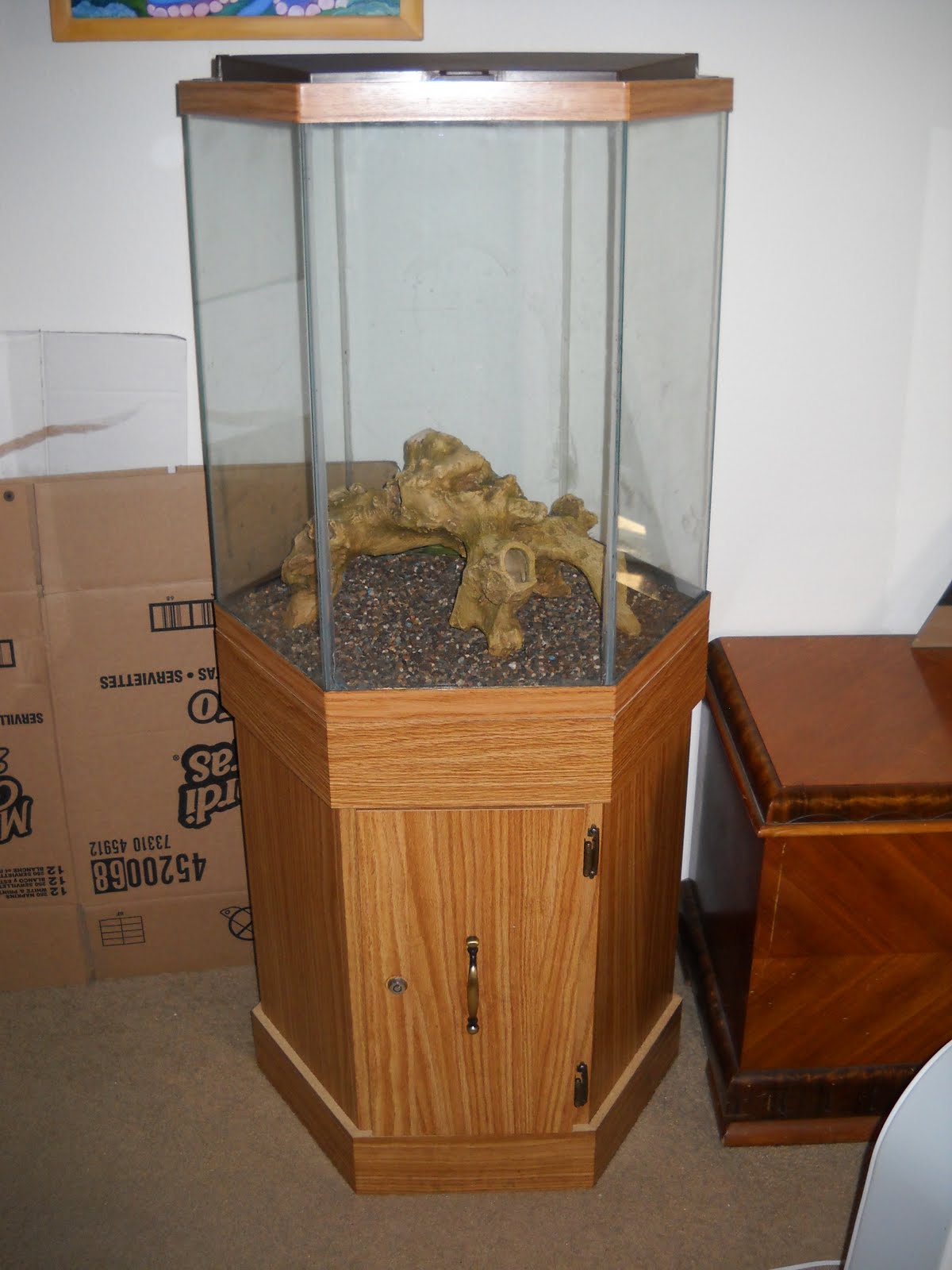 Aquarist Life Tank Build 35g Hexagon