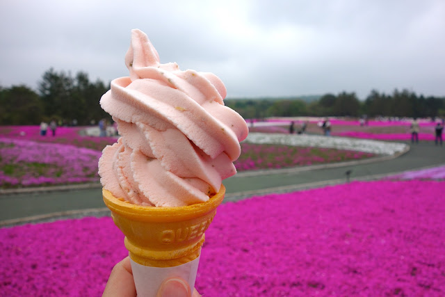 Fuji Shibazakura sakura icecream