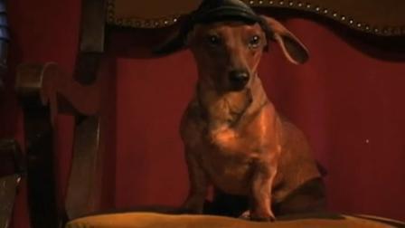 Porndogs: The Adventures of Sadie movie