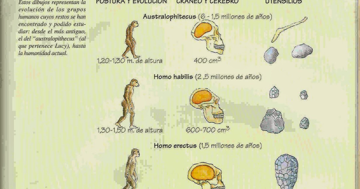 historia142 Sobre el proceso de hominización