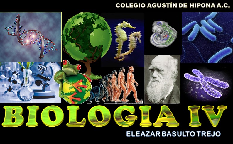 BIOLOGIA IV