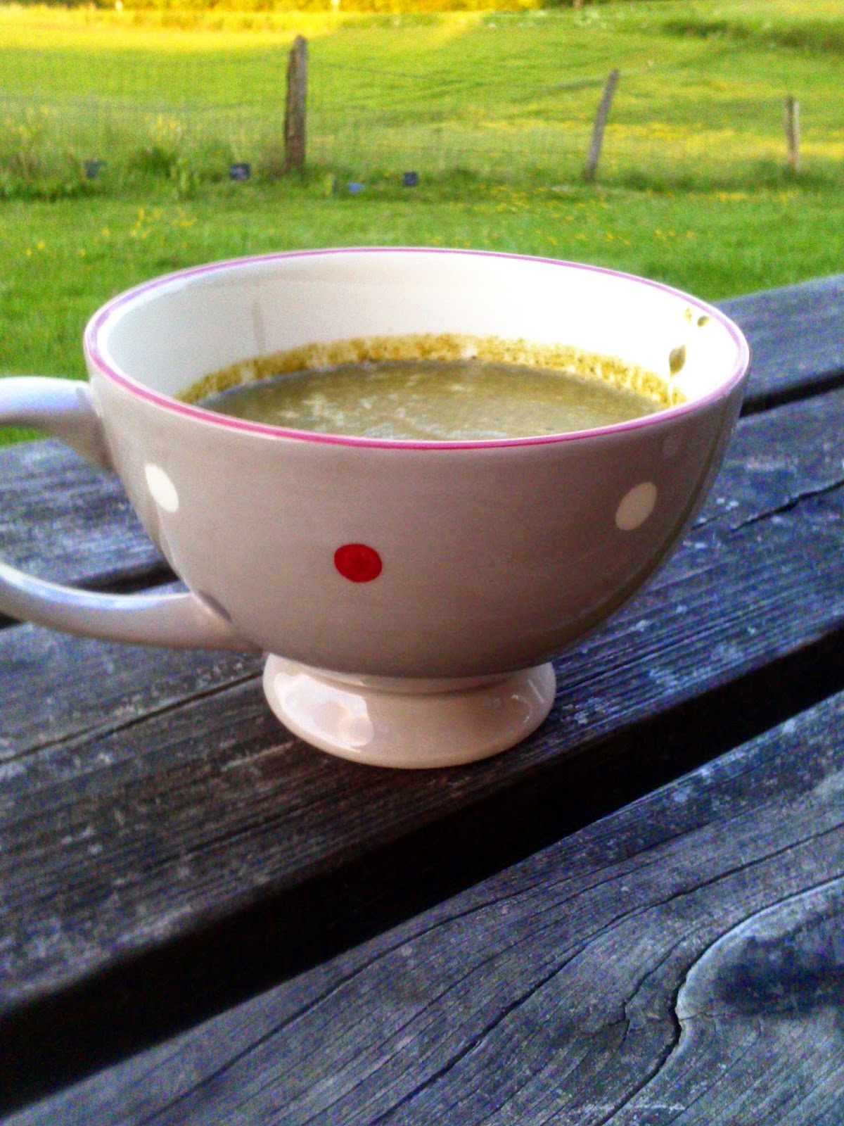 Vin de Pissenlit La Cuisine Simple Soupe A L