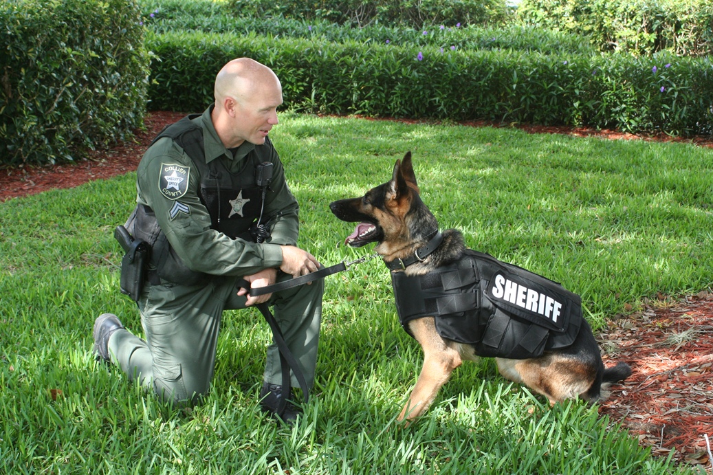 the COLLIER STAR CCSO K9 Unit Receives Donation Of Protective Vests