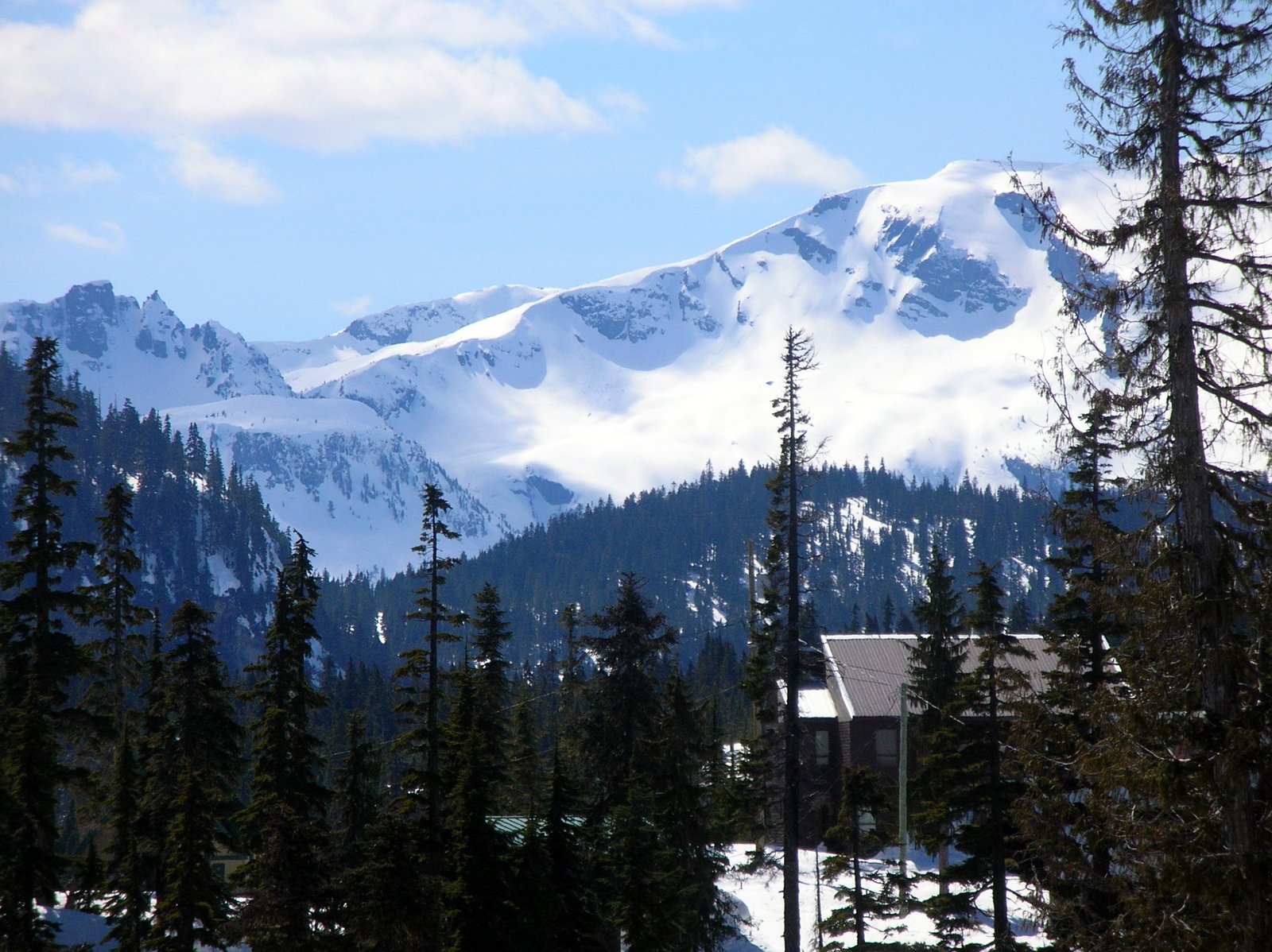 OUR TRAVEL JOURNAL MT. WASHINGTON, VANCOUVER ISLAND, B.C.