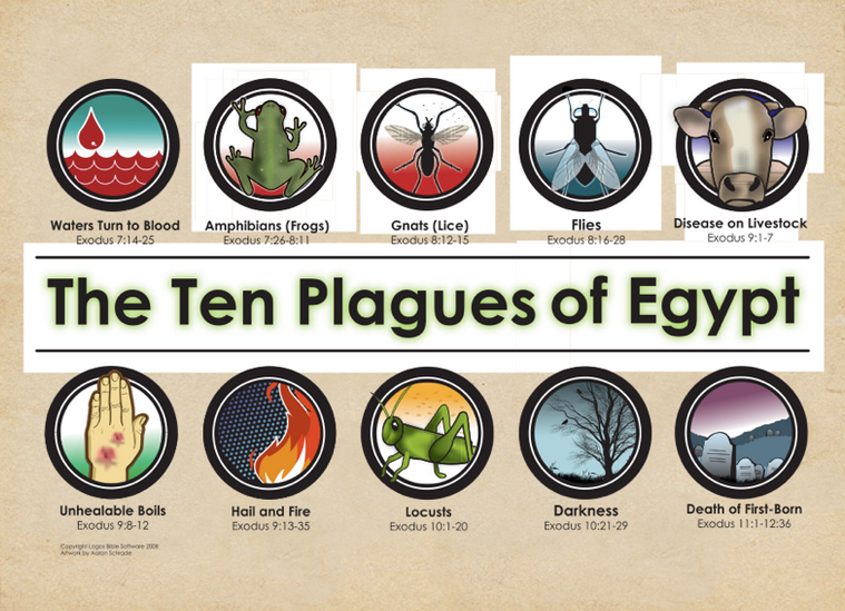 DISCOVER BIBLE THE TEN PLAGUES