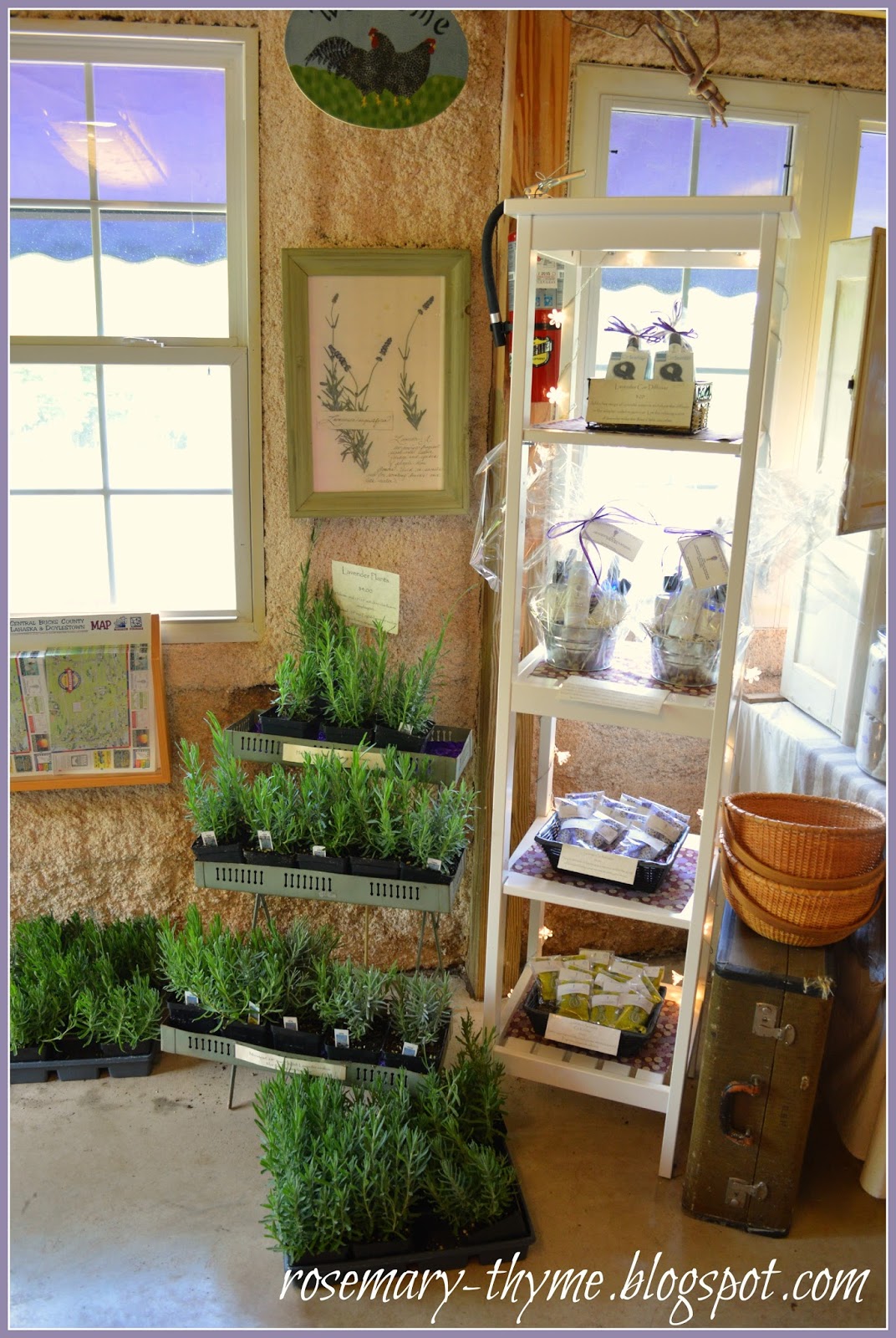 My Travel Diaries Touring Peace Valley Lavender Farm