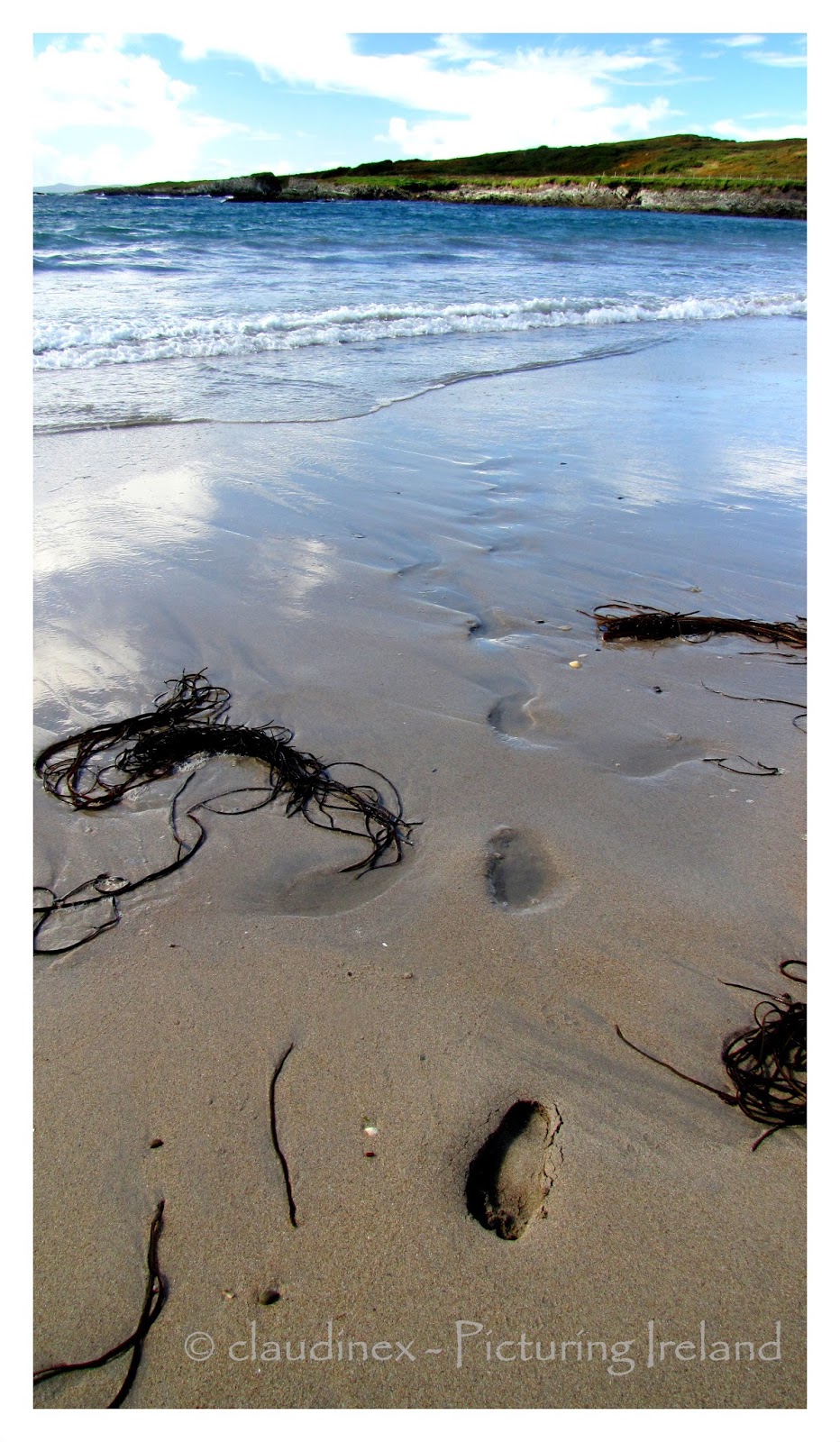Kuesten Leben Seascapes