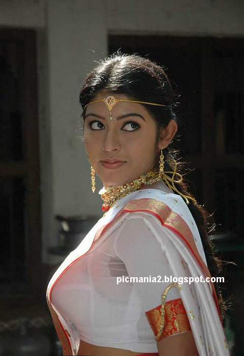South indian actress sexy saree  image 