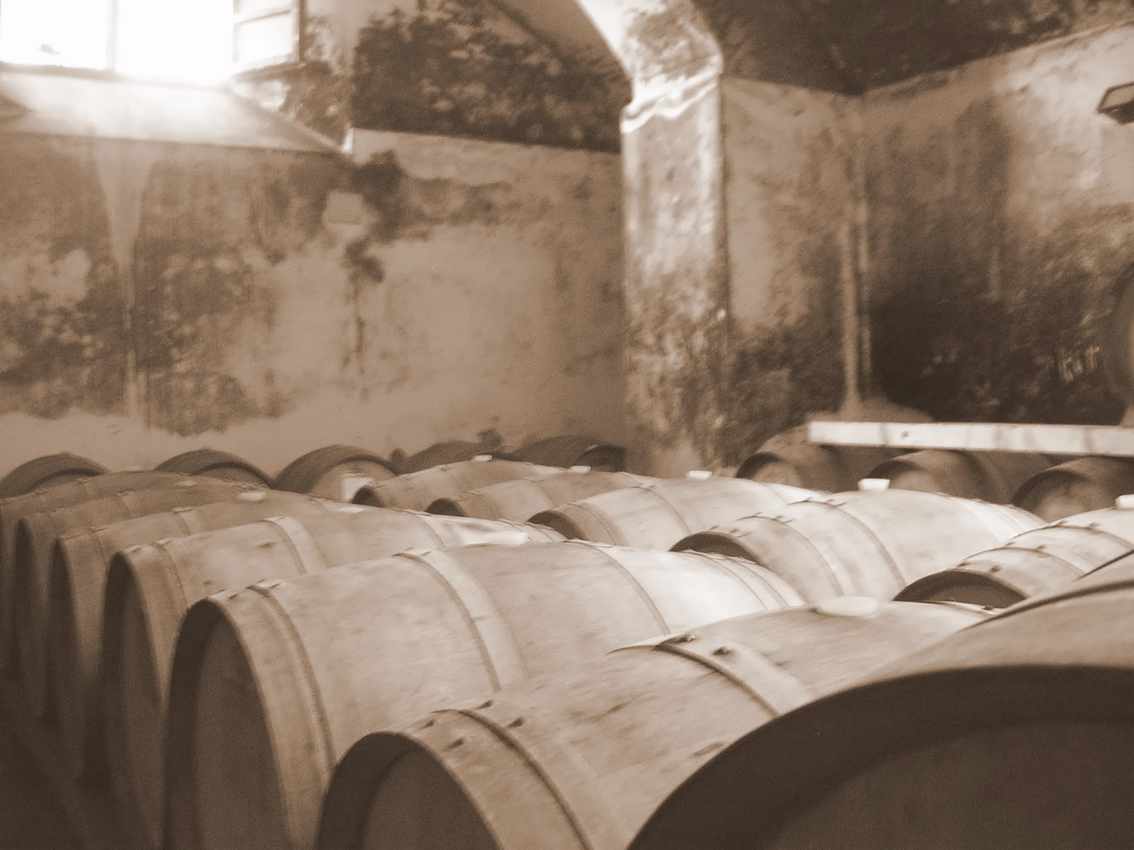 Barrels in Orvieto (c) Mike Rosenberg 2014
