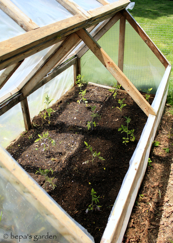 Bepa's Garden: Planning for Spring Planting - Cold Frames (mini-greenhouse)