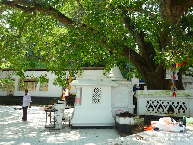 les pecheurs de Tangalle au Sri lanka