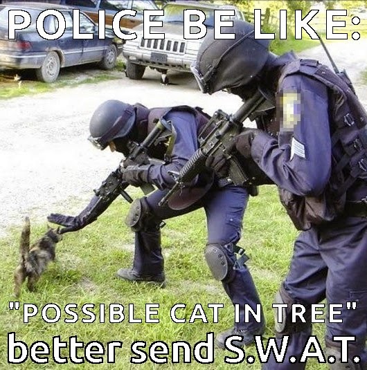 cat-meme-police-be-like-cat-stuck-in-a-tree-better-send-swat-team.jpg