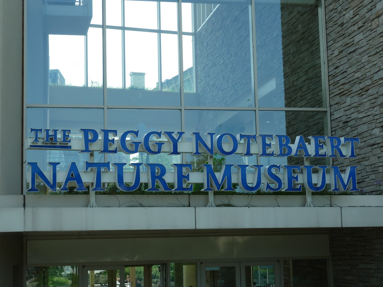 The Chicago Real Estate Local Join the Club Peggy Notebaert Nature Museum