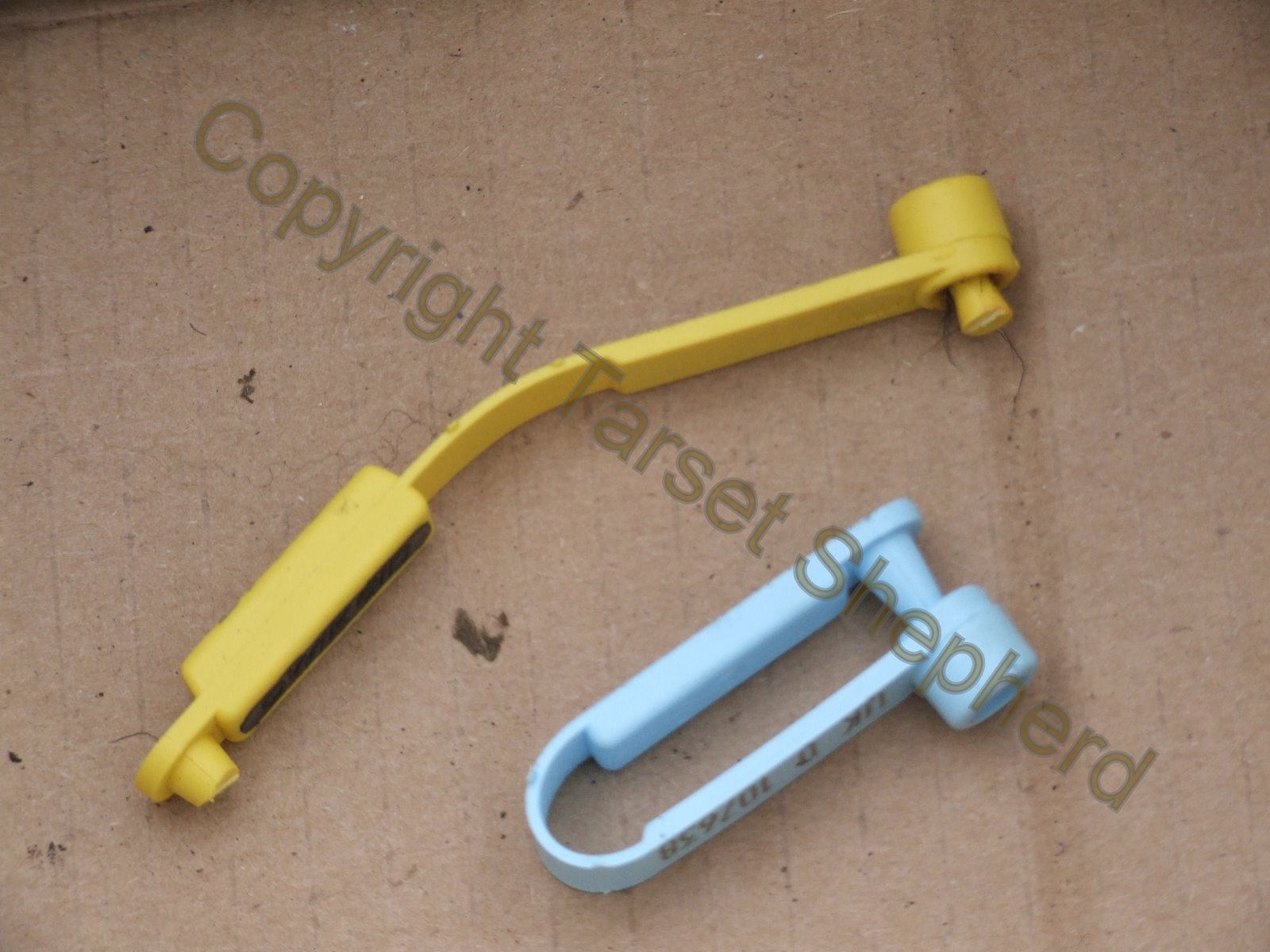 Shepherd's blog tagging sheep. EID