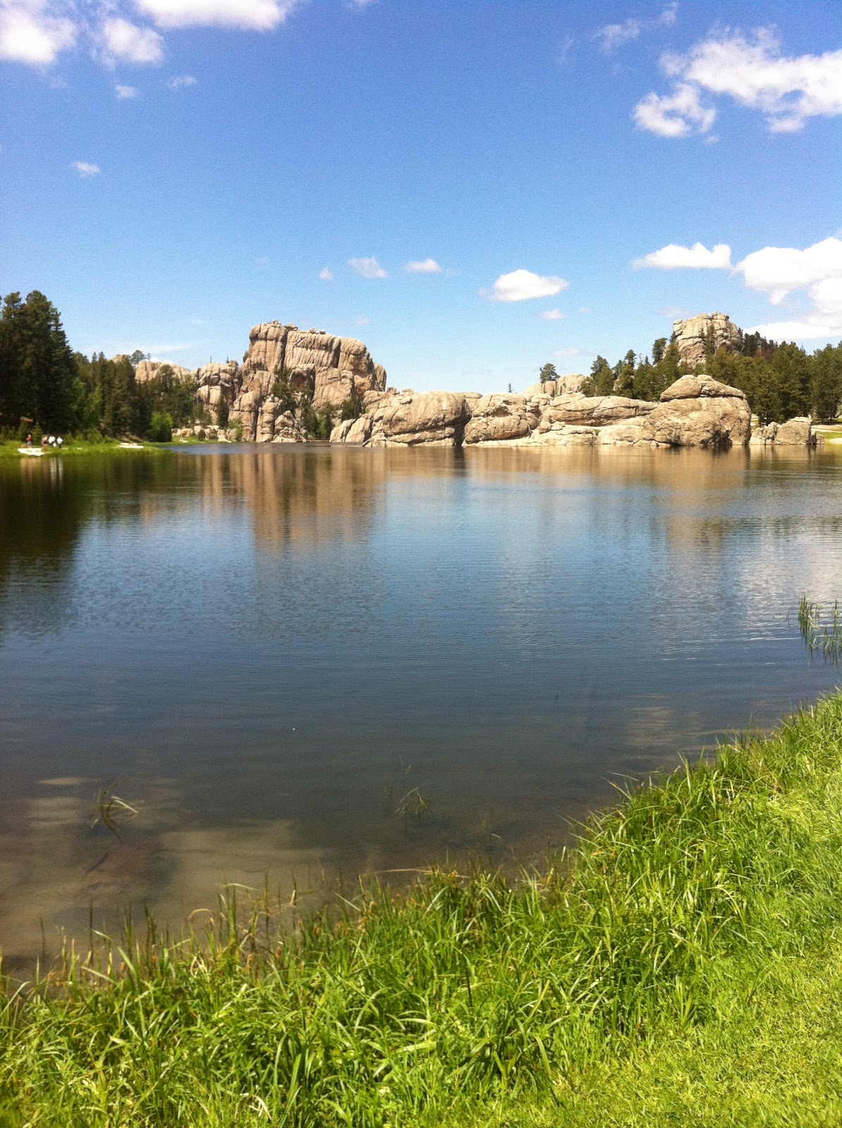 Wayne's Photo of The Day Sylvan Lake, South Dakota