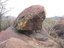 this rock does not look normal here