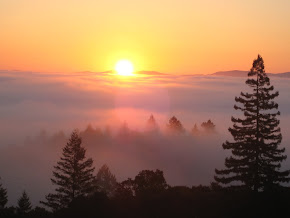 Morning at The Farm