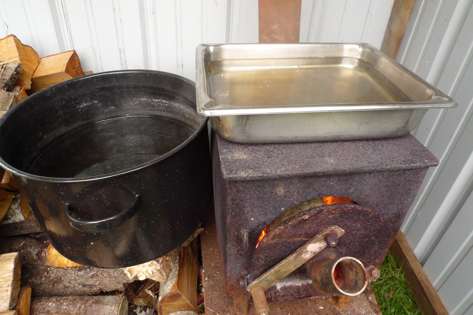 Wild Harvests Bigleaf Maple Syrup