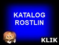 KATALOG ROSTLIN