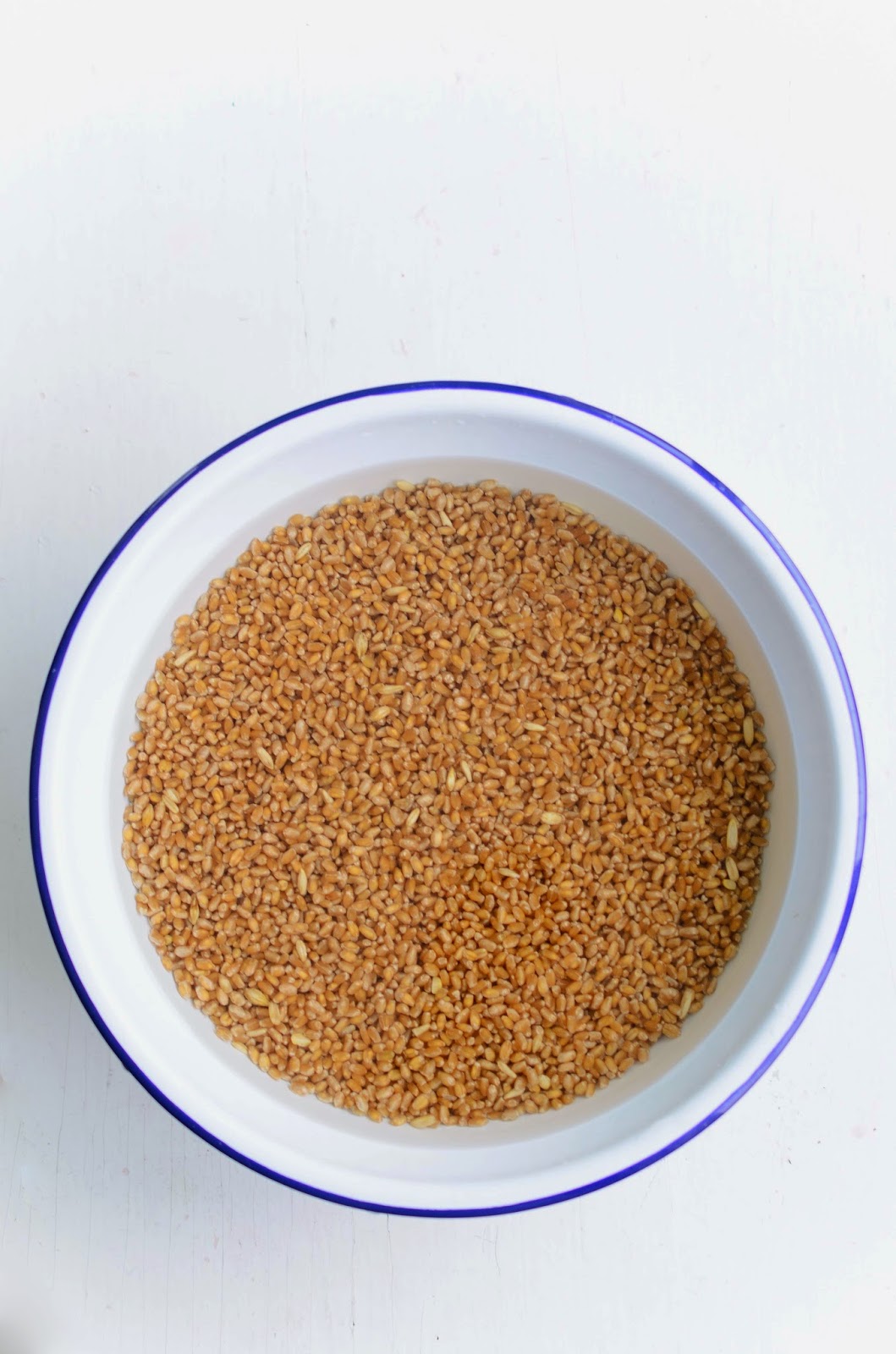 How To Sprout Wheat Berries to Make Your Own Sprouted Flour (StepBy