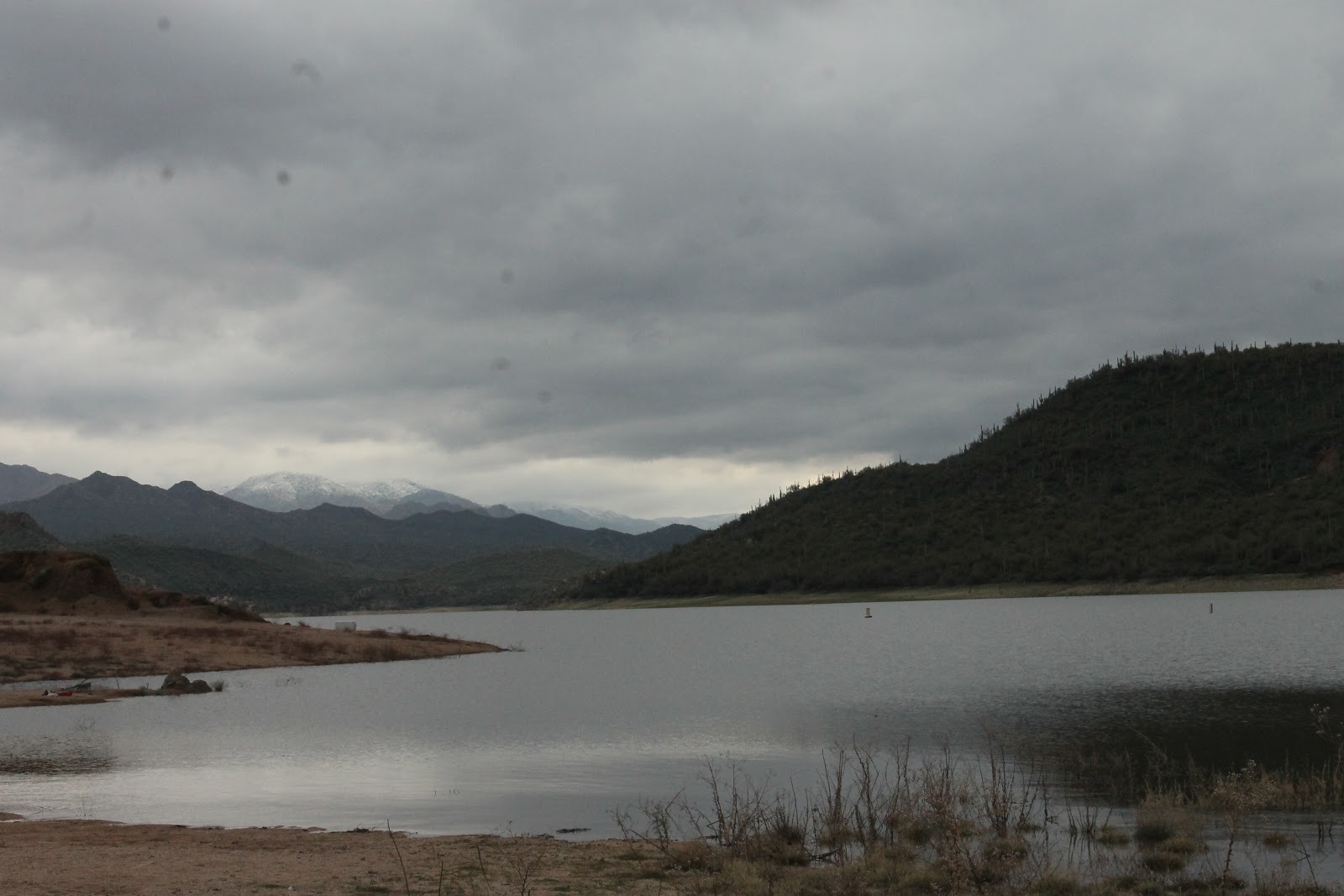 Letterology Back To Nature Part 2