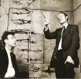 James Watson y Francis Crick