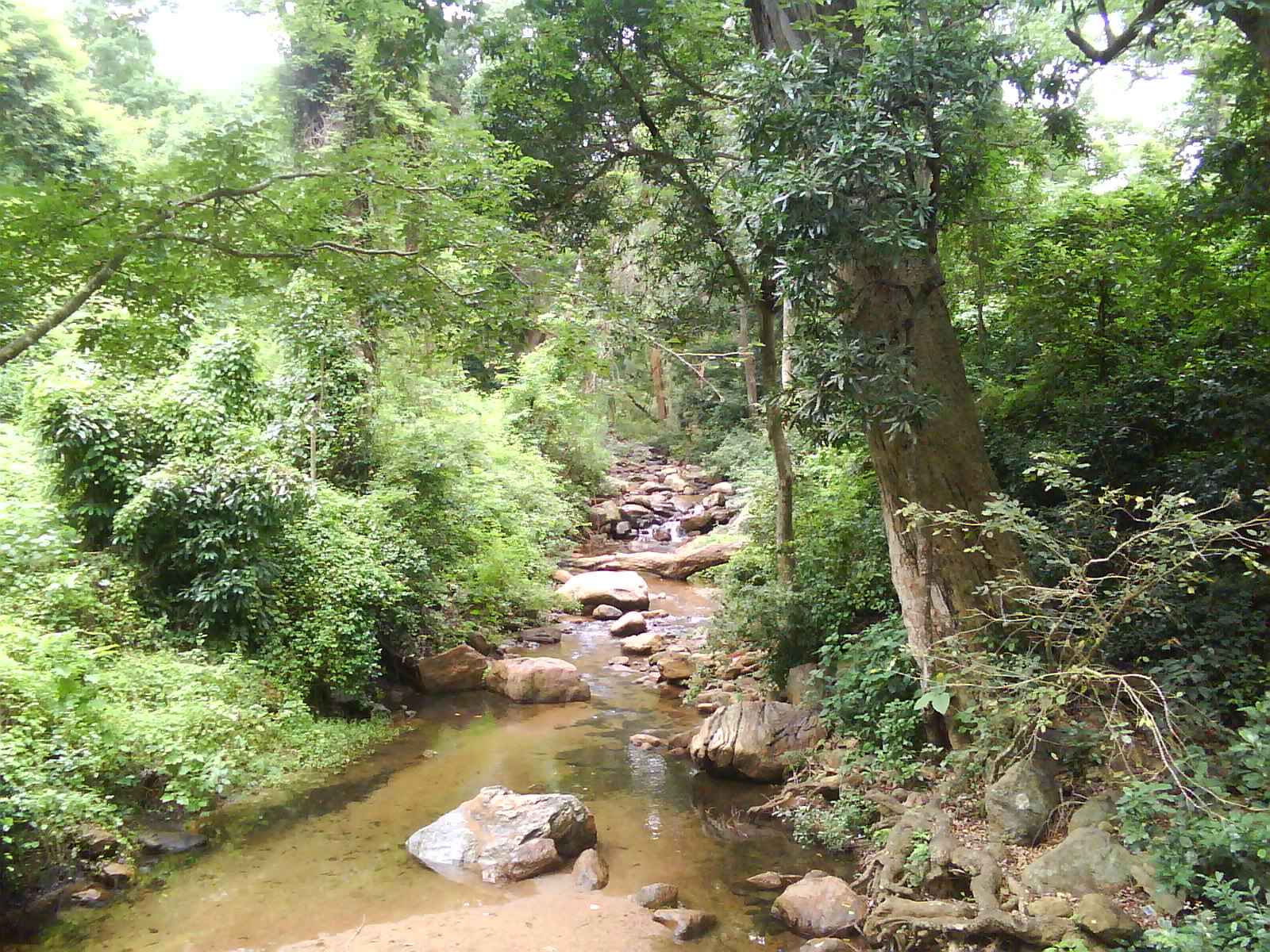 NATURE Anti Gravity video Mercury vortex engine