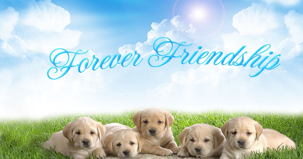 Cute Wallpapers For Desktop With Friendship Quotes